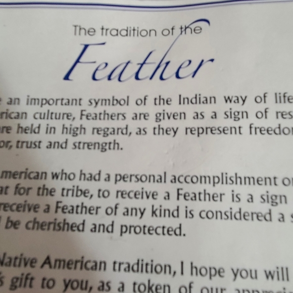 Northern plains Native American reservation necklace feather turquoise navajo - Picture 3 of 6